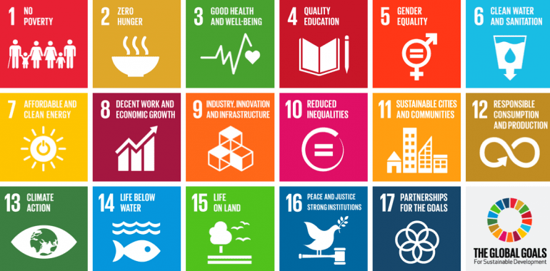UN's Sustainable Development Goals